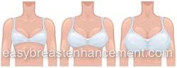 Breast Sizes What Size Are You What Is Your Perfect Bra