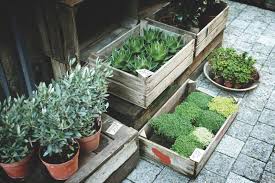 Frugal Raised Garden Beds To Spruce Up