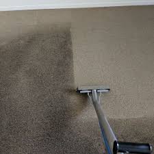 carpet cleaning near holland mi