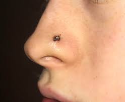 Nose piercing zu günstigen preisen. Dried Blood Around Nose Piercing Am I Dealing With This Correctly Legitpiercing