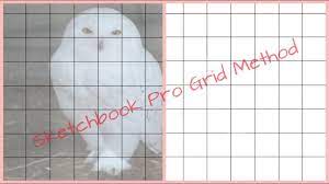 In this video, i show you how i create the grid method in sketchbook pro on my android tablet. Sketchbook Pro Grid Method On Android Youtube
