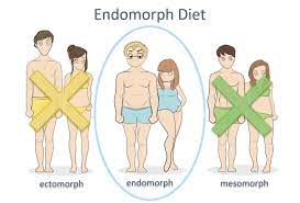 endomorph t workout guide eat