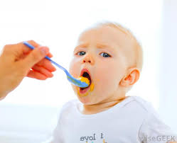 What Are The Best Foods For A 6 Month Old Baby With Pictures
