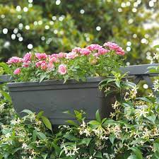 Because they are diy ideas, so you can recycle old items around your house such as tin cans or other plastic containers, or even shoe organizers and gutters are all great used as unique railing planters too. Cute And Functional Deck Rail Planter Ideas