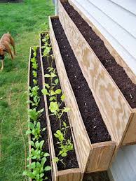 12 Ideas To Make A Small Vegetable Garden