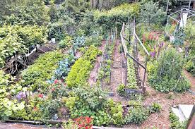 how to garden on a slope 12 ideas for