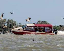 Imagini revoltătoare în Delta Dunării: O ambarcațiune intră intenționat într-un stol de pelicani | Digi24