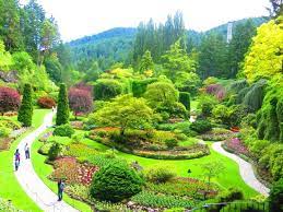 review of the butchart gardens