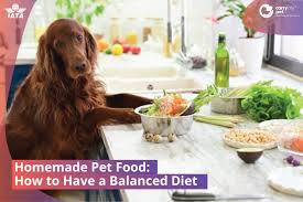 handmade pet food a guide to a