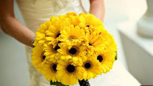 Bó hoa đồng tiền vàng cũng được dùng hoa cầm tay cô dâu