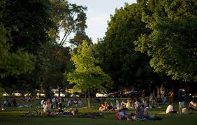 Trinity bellwoods park is located on the west side of downtown toronto, ontario canada, bordered by queen street west on the south and dundas street on the north. Man Dies After Branch Falls On Him In Toronto S Trinity Bellwoods Park Thespec Com