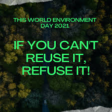 Born too late to explore the earth quote : Slogans On World Environment Day With Pictures 2021 Leverage Edu