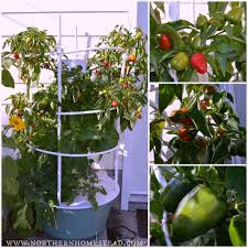 tower garden in cold climate