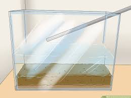 How To Build An Acrylic Aquarium 11 Steps With Pictures
