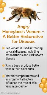 bee venom may heal osteoarthritis and