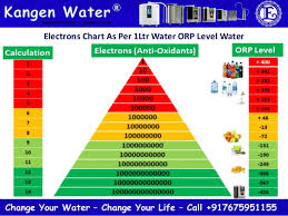 Kangen Water Demo Call 917675951155