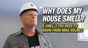 Why Does My House Smell 6 Smells You