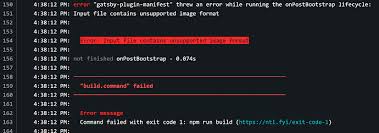 error gatsby plugin manifest input