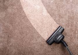carpet cleaning s in south africa