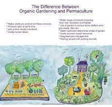 organic gardening and permaculture