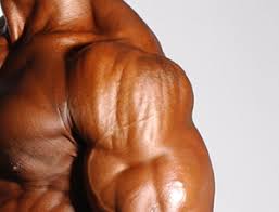 musclepharm shoulder workout