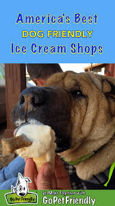 sharing a treat with your pup what could be a better on a hot summer day find a dog friendly ice cream near you and let the fun begin