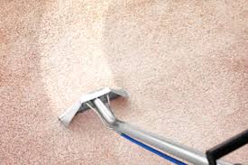 how professional carpet cleaning can