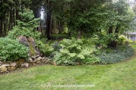 Shade Garden Design Ideas How To