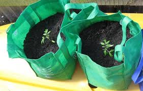 Grow Bags In Your Garden