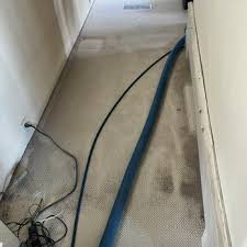 valley carpet cleaning 68 photos