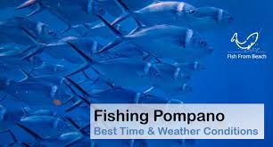 The Best Time To Catch Pompano From The Surf Fish From Beach
