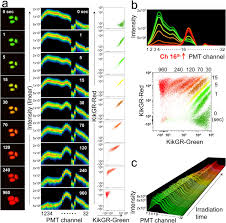 Novel Full Spectral Flow Cytometry With Multiple Spectrally