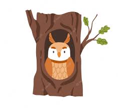 Lindo búho sentado dentro de un hueco en el tronco del árbol. pájaro del  bosque en la casa del agujero en el bosque. sabio adorable animal de pájaro  salvaje en refugio, nido