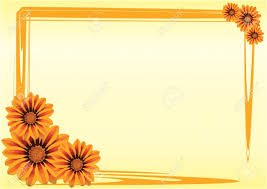 Gazania Flowers With A Orange Border On Yellow Background Royalty