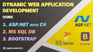 dynamic web application development