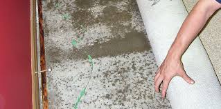 water damage frisco carpet cleaning