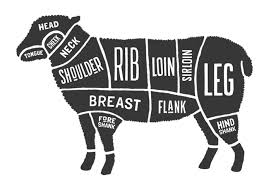 Lamb Meat Diagram Schematics Online