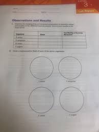 solved experi 3 t lab report dn section