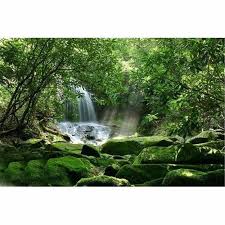 Forest Waterfall Print Wallpaper Size
