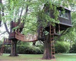 Tree House Building Tips And Plans