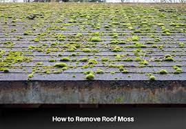 the easiest way to remove moss from a roof