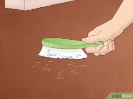 easy ways to remove hair from a carpet