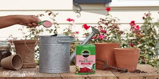 Check spelling or type a new query. 10 Best Rose Fertilizers In 2021 Reviews Top Picks