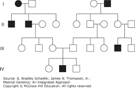 Family History And Pedigree Analysis Medical Genetics An