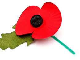 Symbol used since 1921 to commemorate military personnel who have died in war. Wearing A Poppy Was A Pledge Of Peace Now It Serves To Sanitise War Ted Harrison The Guardian