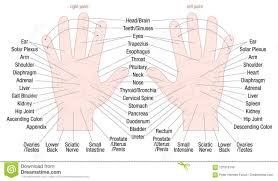 Hand Reflexology Zone Massage Areas Names Stock Vector