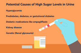high levels of sugar in urine causes