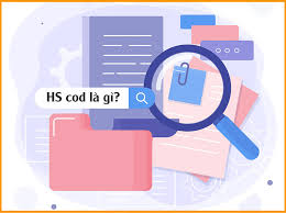hs code là gì cách kiểm tra mã hs code