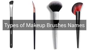 makeup brushes beginners