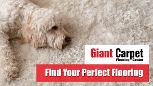 giant carpet flooring centre video